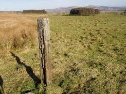 fence post