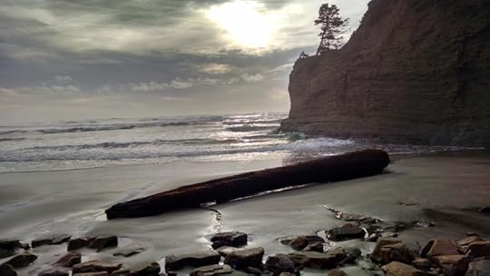 IMG_20160126_152225098_HDR[1]