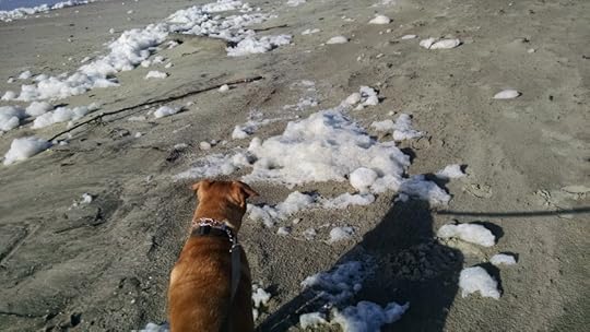 IMG_20160128_143925788[1]