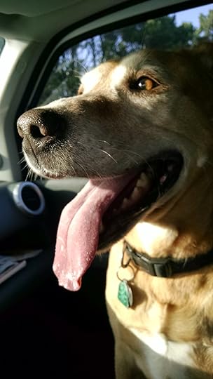 IMG_20160128_151450150[1]