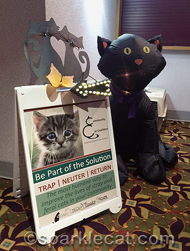 Community Cat Coalition oregon