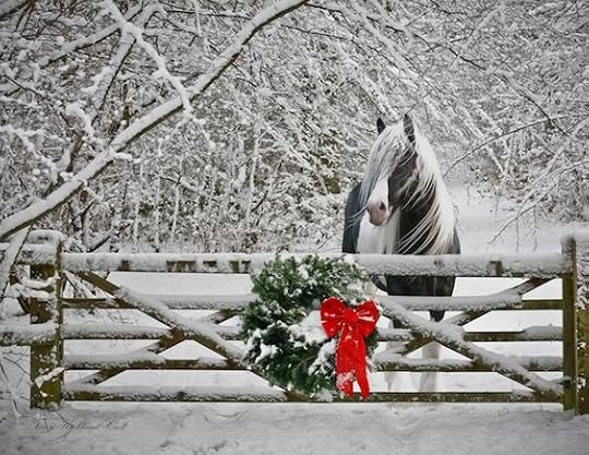 Horse at Christmas: 