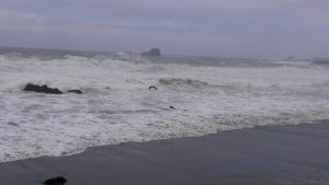 Central CA coastline