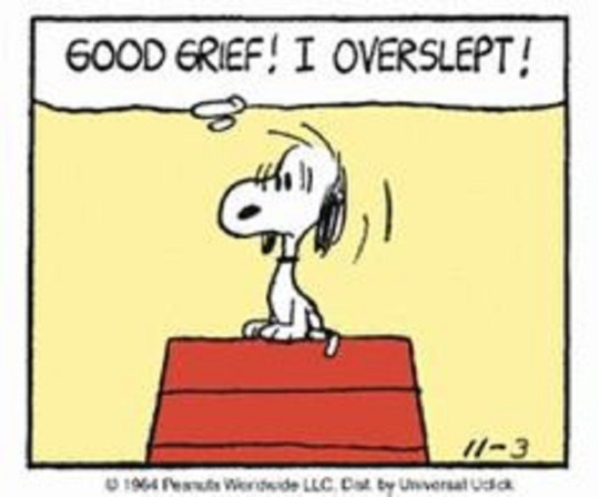 snoopy oversleep
