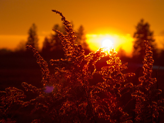 sunrise_1989