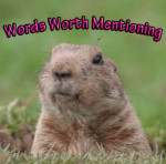 groundhog