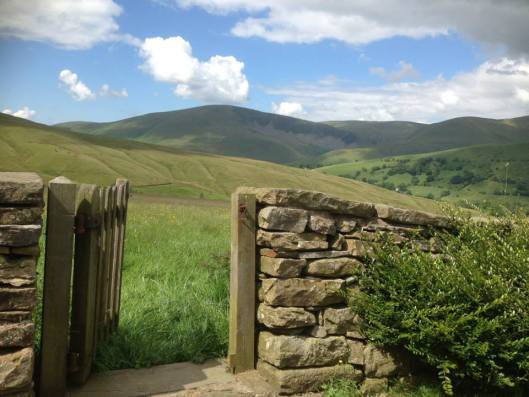 gate
