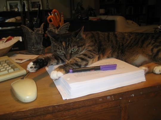 Pandora thinks I need more coffee before I"m allowed to touch the day"s work....