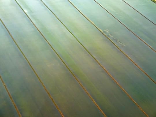 ricefields2 copy