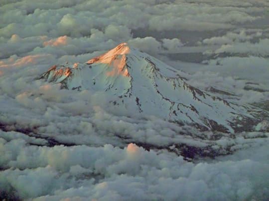 mthood copy