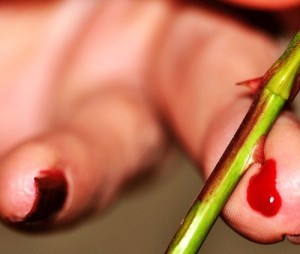 4441417155_a8bab0cdd9