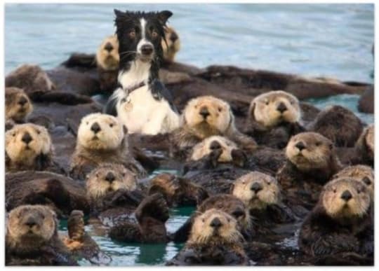 what's everyone looking at