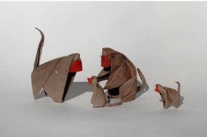 Cả nhà Khỉ vui Tết!