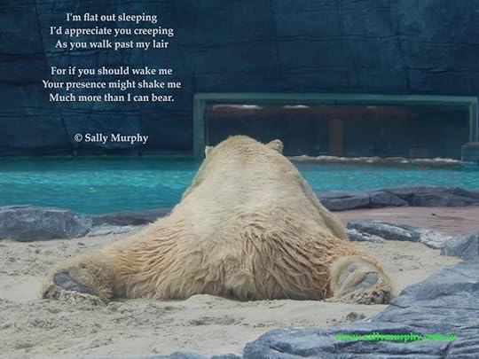 Polar Bear 
