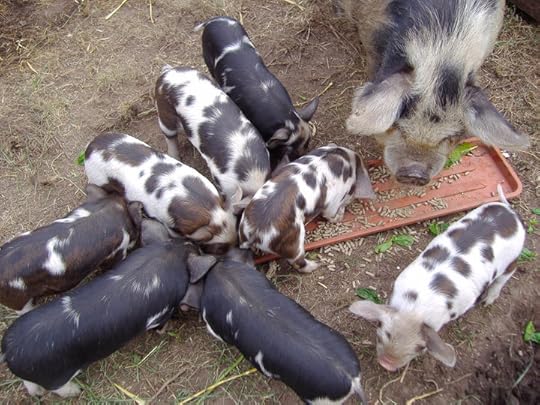 34984_1417820219634_84744_n