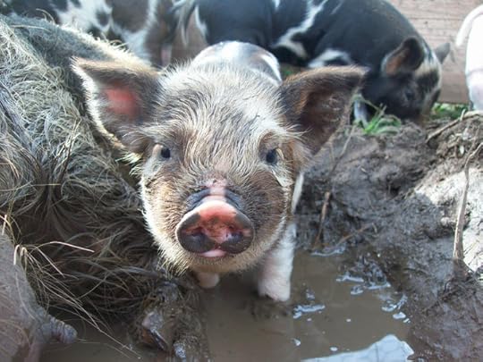 37709_1311649844289_5573972_n