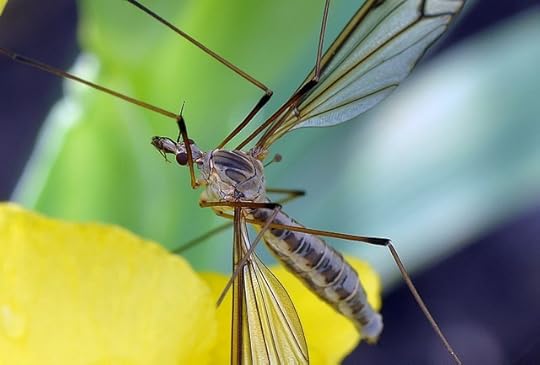 5660445605_8dc70556c2_z