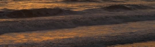 Copyright Ari Bowman