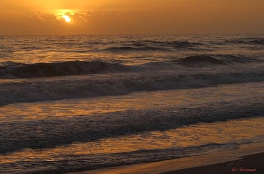 Copyright Ari Bowman