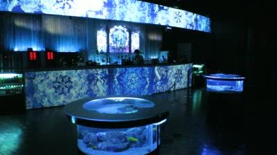 Snow Aquarium SHORT