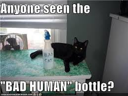 bad human