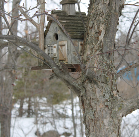 The Blackbird Cafe (22)