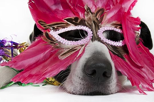 Dog in feather mask