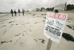  (Photo: Gregory Rec/'Portland Press Herald' via Getty Images) 