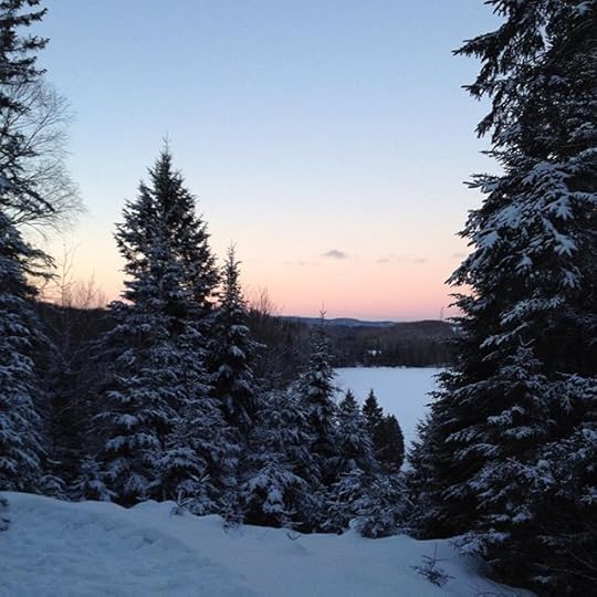 Blue hour #bluehour #igerslaurentides #laurentides #snow #winterwonderland #winter