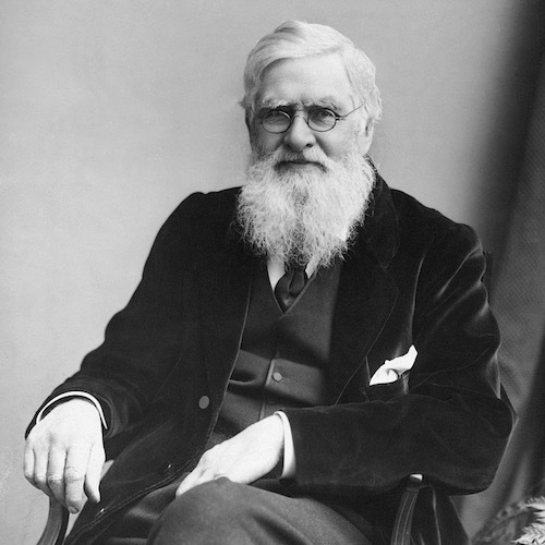 Alfred-Russel-Wallace-c1895 (1).jpg