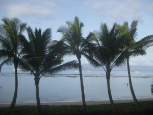 View of the Lahaina roadstead