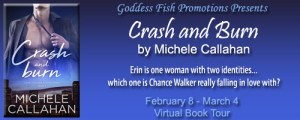BBT_CrashAndBurn_Banner copy