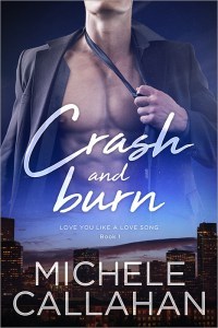 MediaKit_BookCover_CrashAndBurn