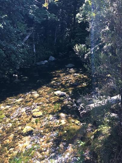 12507115_10154642089759762_3552948229364741563_n