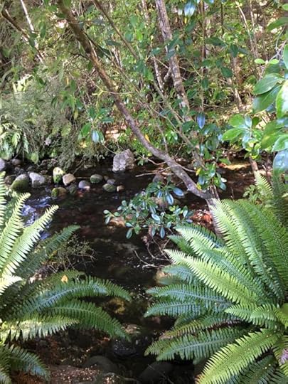 12540860_10154642089674762_7338711496953289029_n