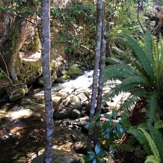 12523912_10154642089649762_5287541804703318803_n