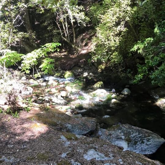 12524185_10154642088934762_5562321095646692857_n