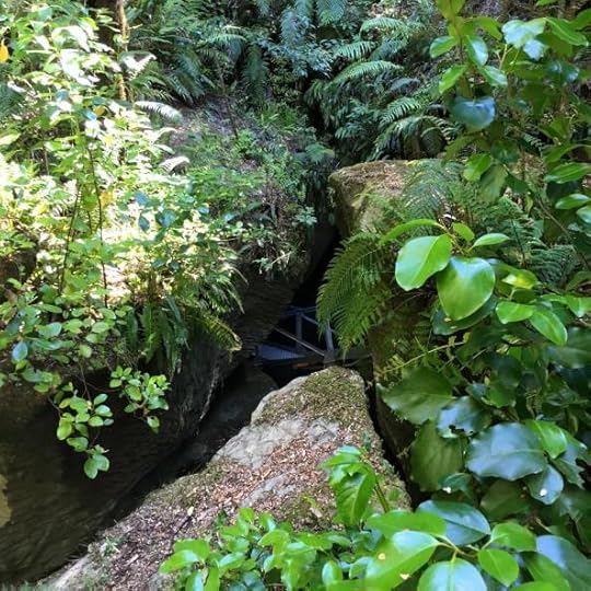 12509543_10154642088629762_524091235840657568_n