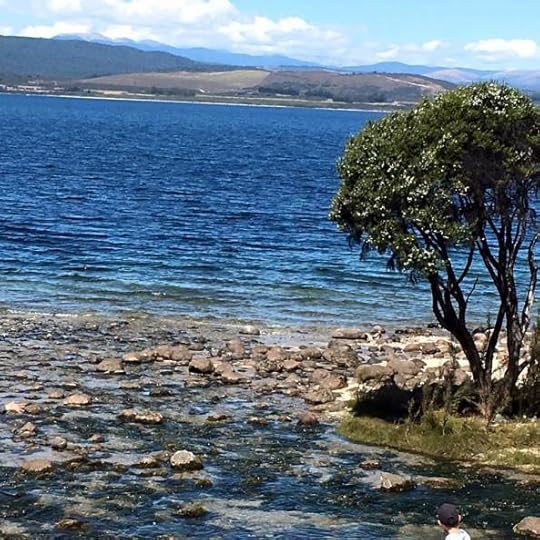 12509087_10154642089304762_4993028842469659329_n