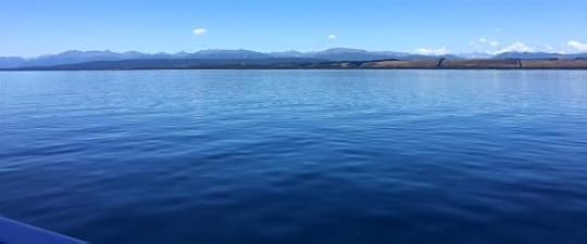 12493852_10154642086024762_4720372890330690228_o