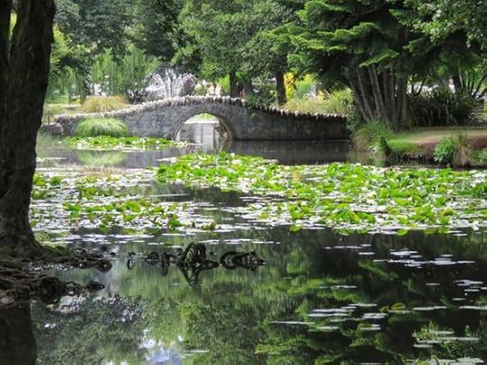 12491868_10154641578009762_7879294022455861528_o