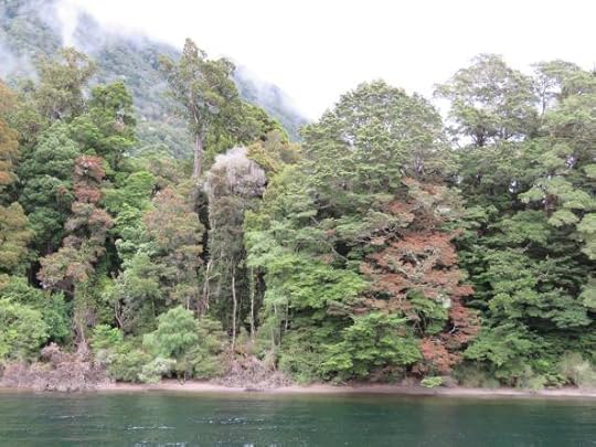 12640423_10154658283414762_8771618056968710559_o