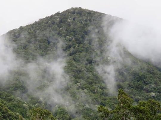 12633598_10154658283019762_408123628669367652_o