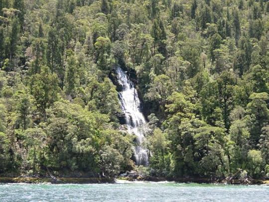 12493771_10154658291239762_7715708291738902675_o