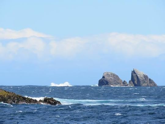 12615333_10154658294404762_5300243103469009630_o