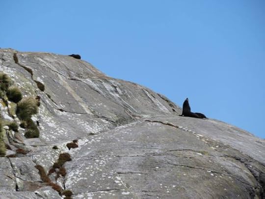 12525335_10154658298134762_4348536791433750729_o