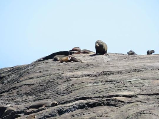 12474099_10154658295254762_6351706651188410903_o