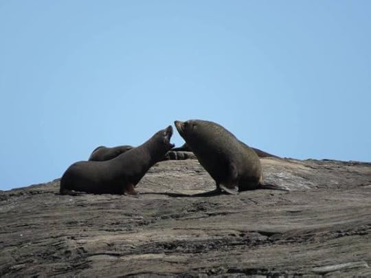 12525664_10154658295529762_7310343208450383581_o