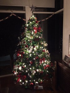 Our Christmas tree - mostly decorated by Ronnie!