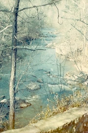 Cedar Creek from the Patio copy